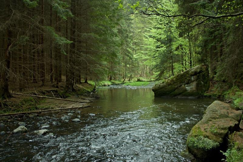 Ubytování U Potoka Kunratice  Exterior foto